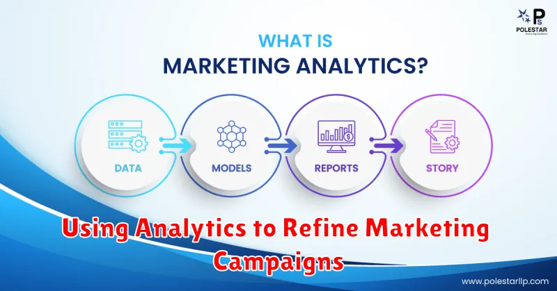 Using Analytics to Refine Marketing Campaigns